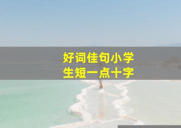 好词佳句小学生短一点十字