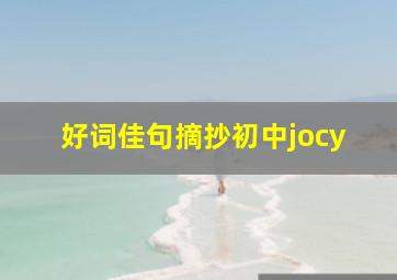 好词佳句摘抄初中jocy