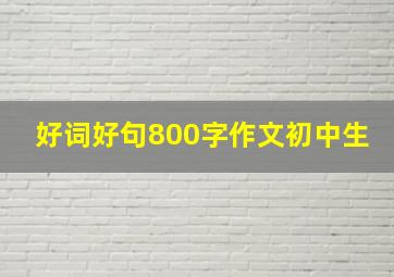 好词好句800字作文初中生