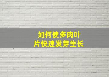 如何使多肉叶片快速发芽生长