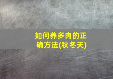 如何养多肉的正确方法(秋冬天)