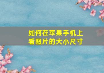 如何在苹果手机上看图片的大小尺寸