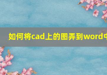 如何将cad上的图弄到word中