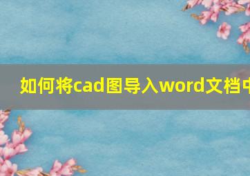 如何将cad图导入word文档中