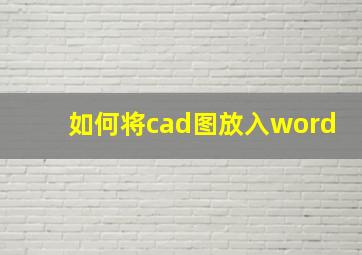 如何将cad图放入word