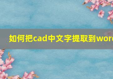 如何把cad中文字提取到word