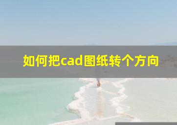 如何把cad图纸转个方向