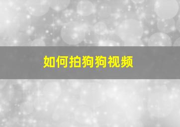 如何拍狗狗视频