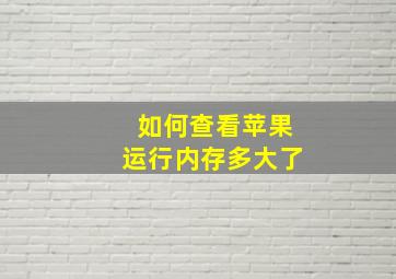 如何查看苹果运行内存多大了