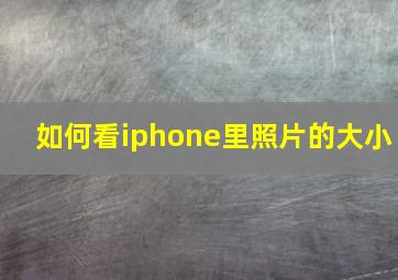 如何看iphone里照片的大小