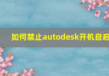 如何禁止autodesk开机自启