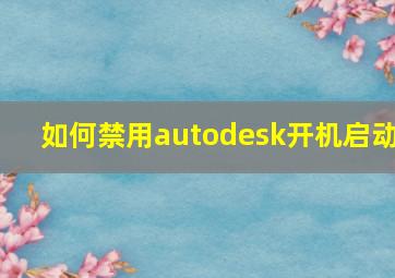 如何禁用autodesk开机启动