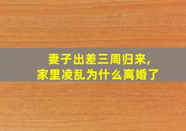 妻子出差三周归来,家里凌乱为什么离婚了