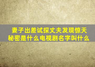 妻子出差试探丈夫发现惊天秘密是什么电视剧名字叫什么