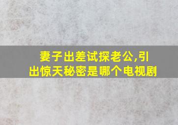 妻子出差试探老公,引出惊天秘密是哪个电视剧