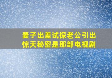 妻子出差试探老公引出惊天秘密是那部电视剧