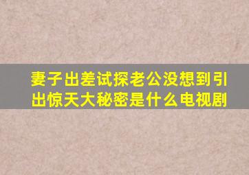 妻子出差试探老公没想到引出惊天大秘密是什么电视剧