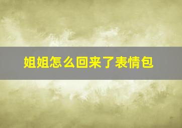 姐姐怎么回来了表情包