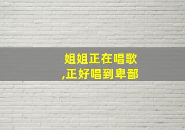 姐姐正在唱歌,正好唱到卑鄙