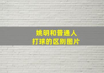 姚明和普通人打球的区别图片