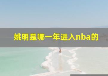 姚明是哪一年进入nba的