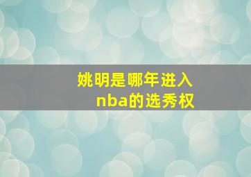 姚明是哪年进入nba的选秀权