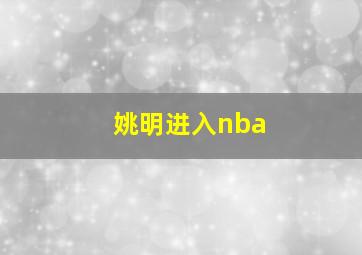 姚明进入nba