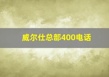 威尔仕总部400电话