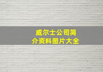 威尔士公司简介资料图片大全