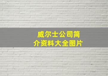 威尔士公司简介资料大全图片