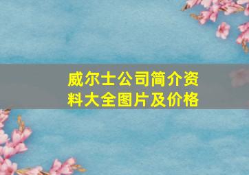 威尔士公司简介资料大全图片及价格