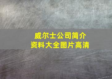 威尔士公司简介资料大全图片高清