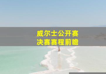 威尔士公开赛决赛赛程前瞻