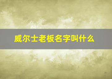 威尔士老板名字叫什么