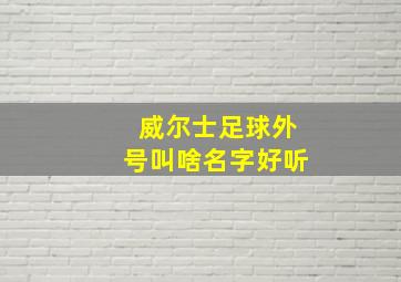 威尔士足球外号叫啥名字好听