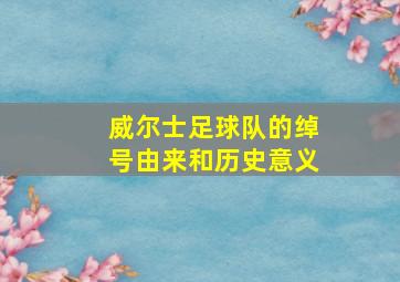 威尔士足球队的绰号由来和历史意义