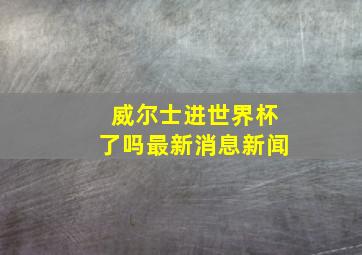 威尔士进世界杯了吗最新消息新闻