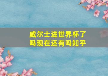 威尔士进世界杯了吗现在还有吗知乎