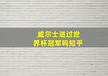 威尔士进过世界杯冠军吗知乎