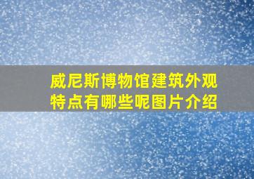 威尼斯博物馆建筑外观特点有哪些呢图片介绍