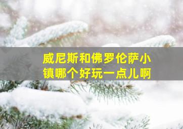 威尼斯和佛罗伦萨小镇哪个好玩一点儿啊