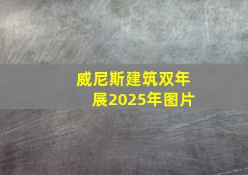 威尼斯建筑双年展2025年图片