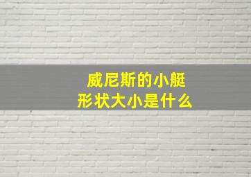 威尼斯的小艇形状大小是什么