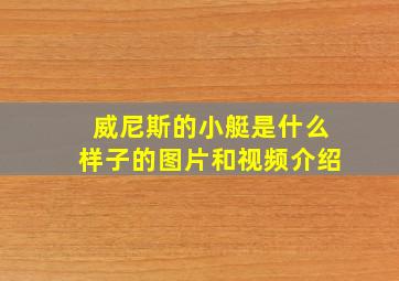 威尼斯的小艇是什么样子的图片和视频介绍