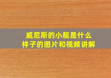 威尼斯的小艇是什么样子的图片和视频讲解