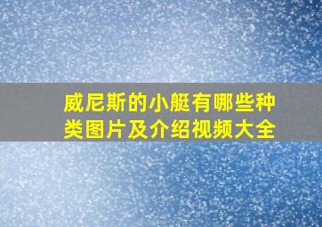 威尼斯的小艇有哪些种类图片及介绍视频大全