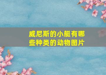 威尼斯的小艇有哪些种类的动物图片