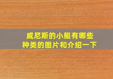 威尼斯的小艇有哪些种类的图片和介绍一下