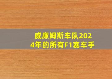 威廉姆斯车队2024年的所有F1赛车手