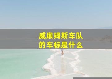 威廉姆斯车队的车标是什么